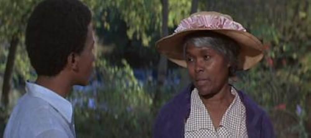 知恵の木の画像