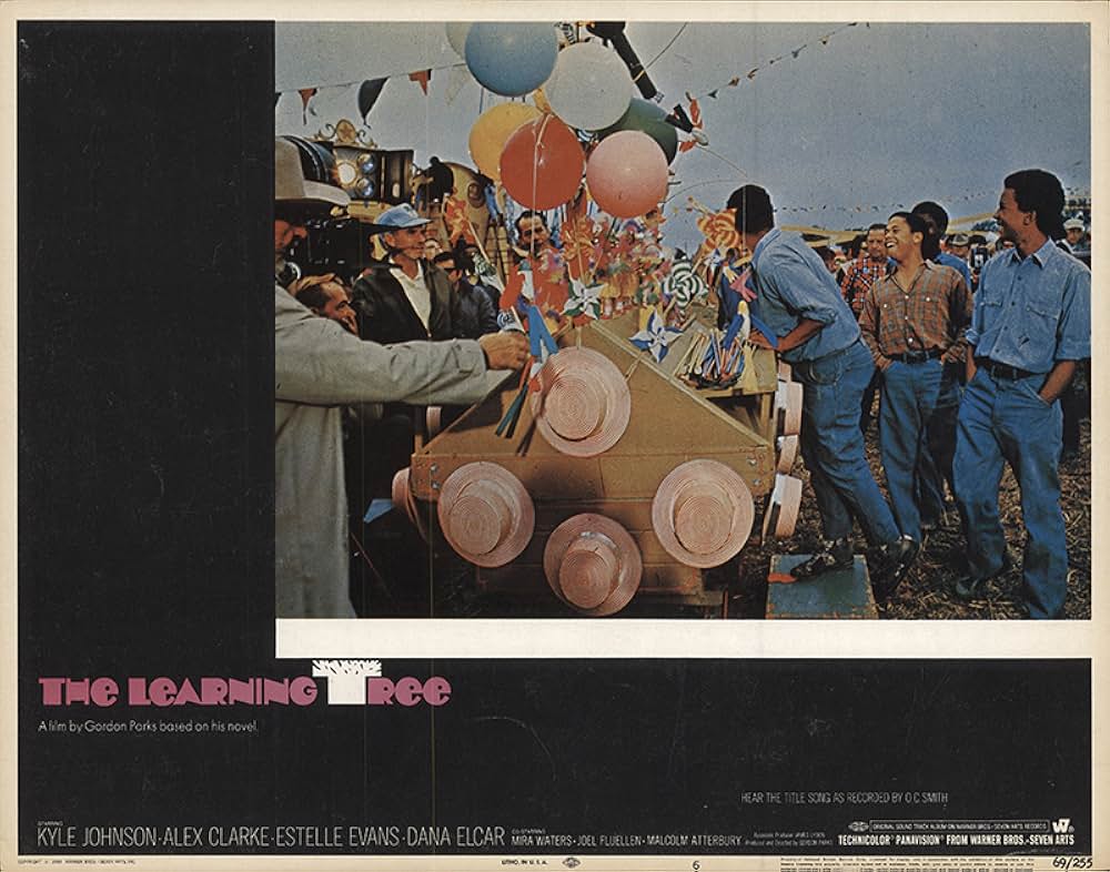 知恵の木の画像