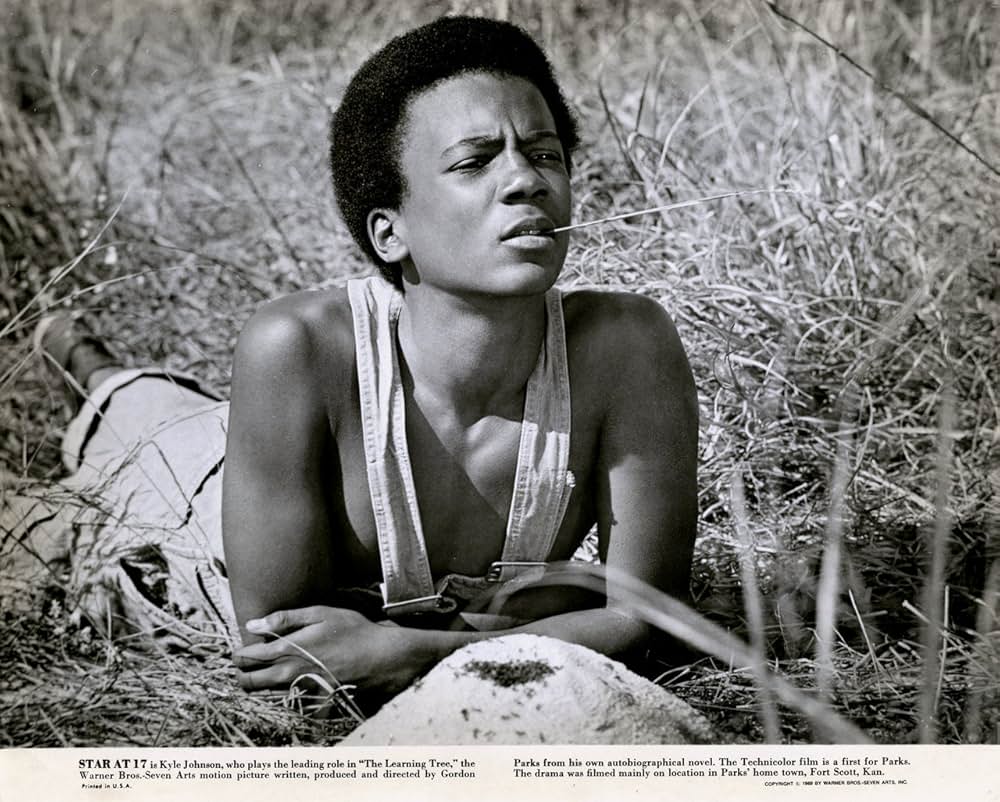 知恵の木の画像