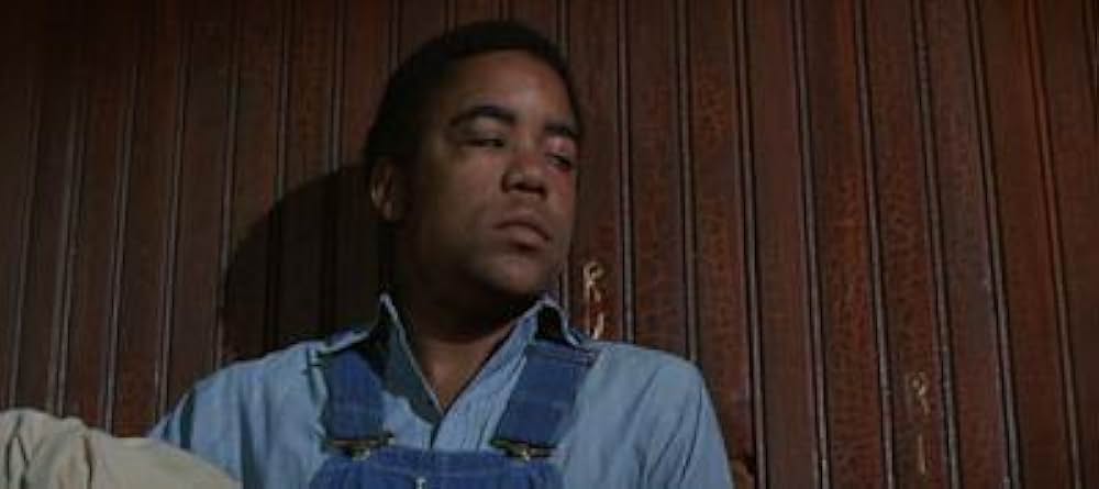 知恵の木の画像