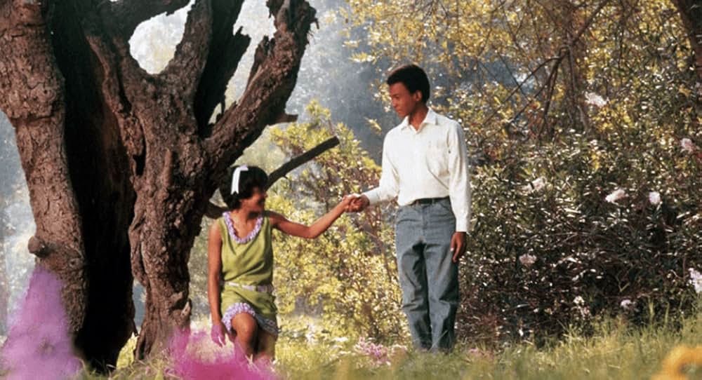 知恵の木の画像