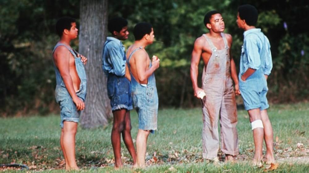 知恵の木の画像