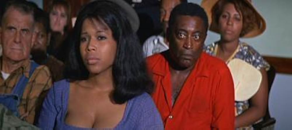 知恵の木の画像