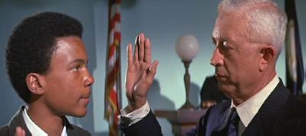 知恵の木の画像