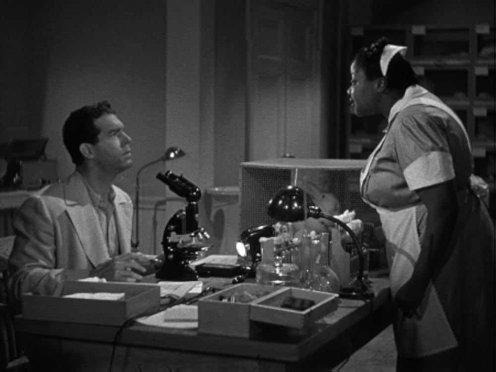 淑女の求愛／淑女の求婚の画像