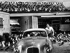 「鳥」ベロニカ・カートライト & ティッピー・ヘドレン & ジェシカ・タンディ & ロッド・テイラーの画像