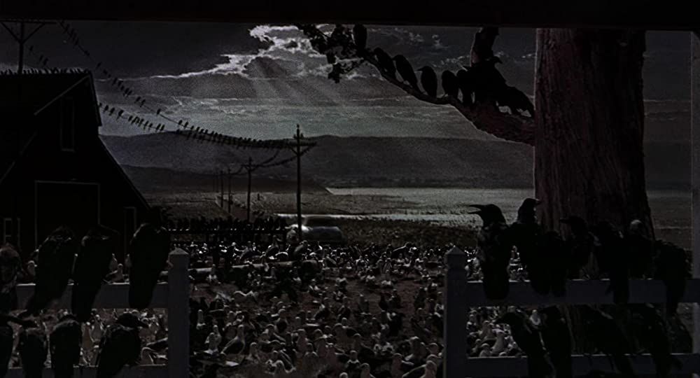 「鳥」の画像