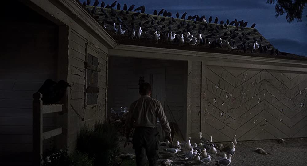 「鳥」ロッド・テイラーの画像