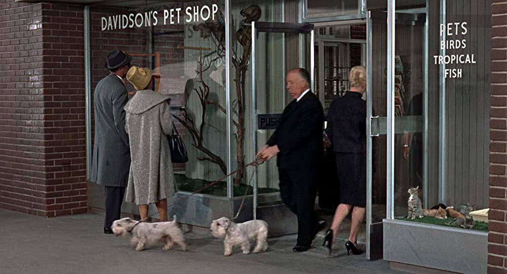 「鳥」アルフレッド・ヒッチコック & ティッピー・ヘドレンの画像