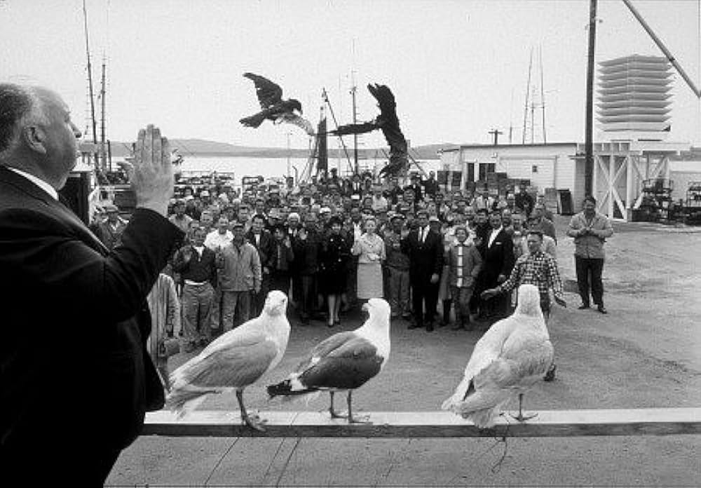 「鳥」の画像