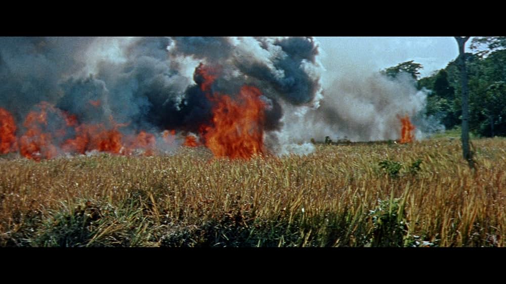 裸者と死者の画像