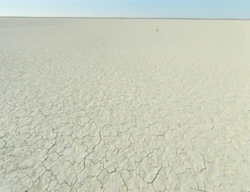 僕の無事を祈ってくれの画像