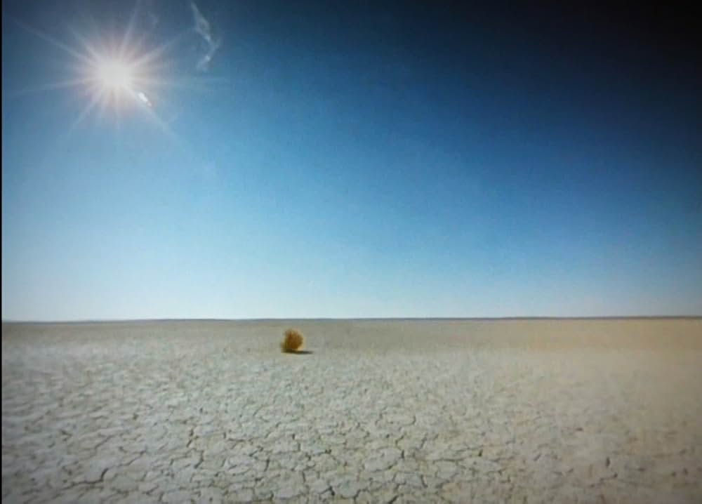 僕の無事を祈ってくれの画像