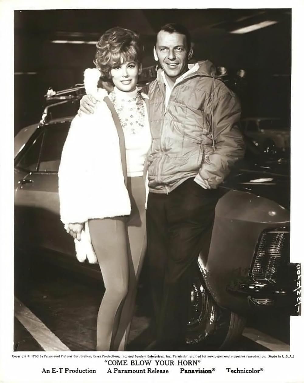 ナイスガイ・ニューヨークの画像