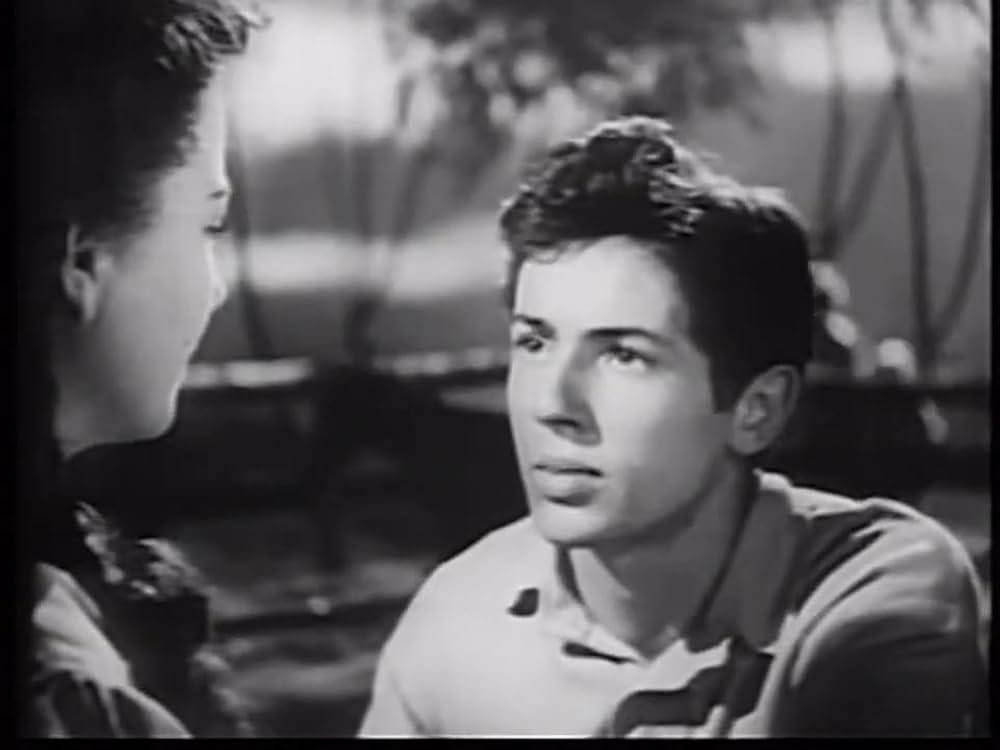 北極星／電撃作戦の画像