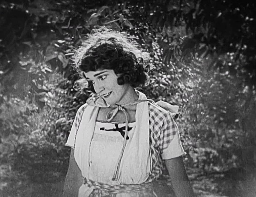 キートンの案山子／キートンのスケアクロウの画像