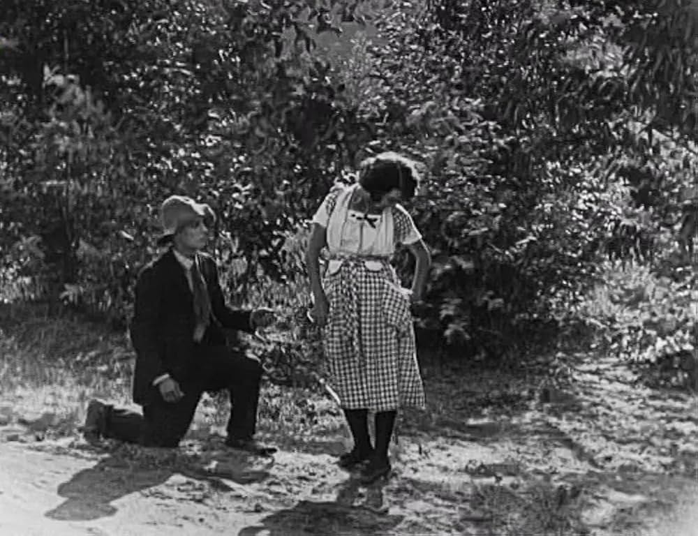 キートンの案山子／キートンのスケアクロウの画像