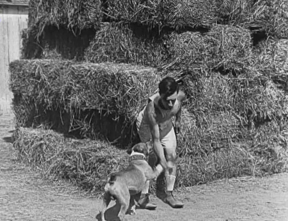 キートンの案山子／キートンのスケアクロウの画像