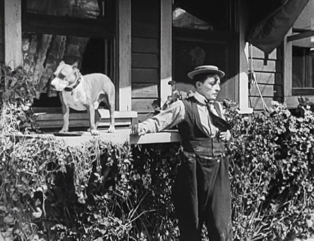 キートンの案山子／キートンのスケアクロウの画像