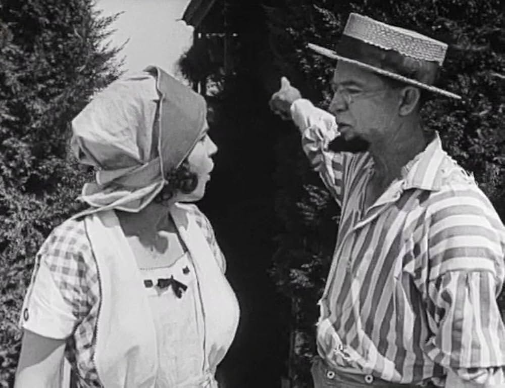 キートンの案山子／キートンのスケアクロウの画像