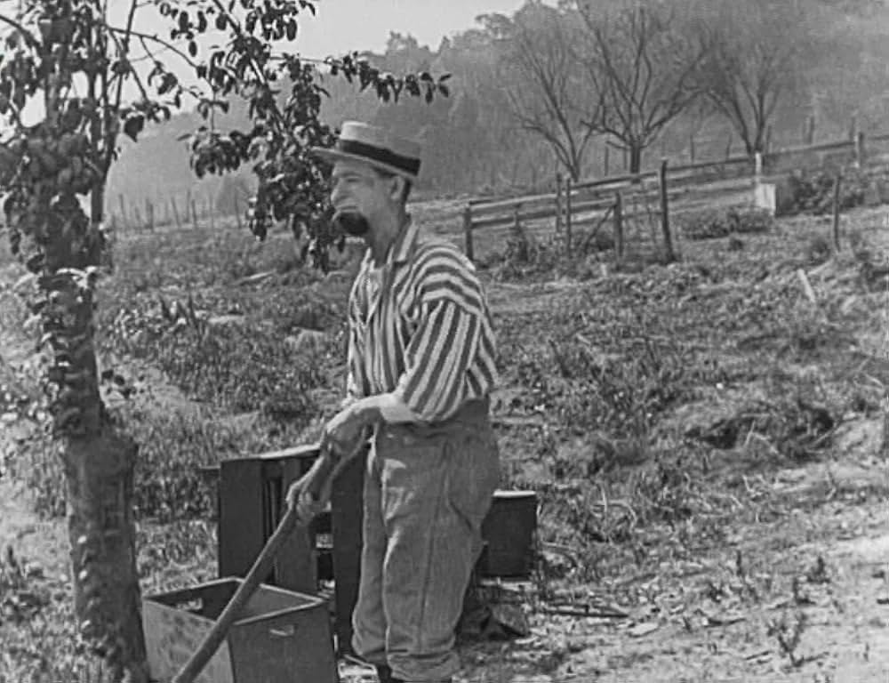 キートンの案山子／キートンのスケアクロウの画像