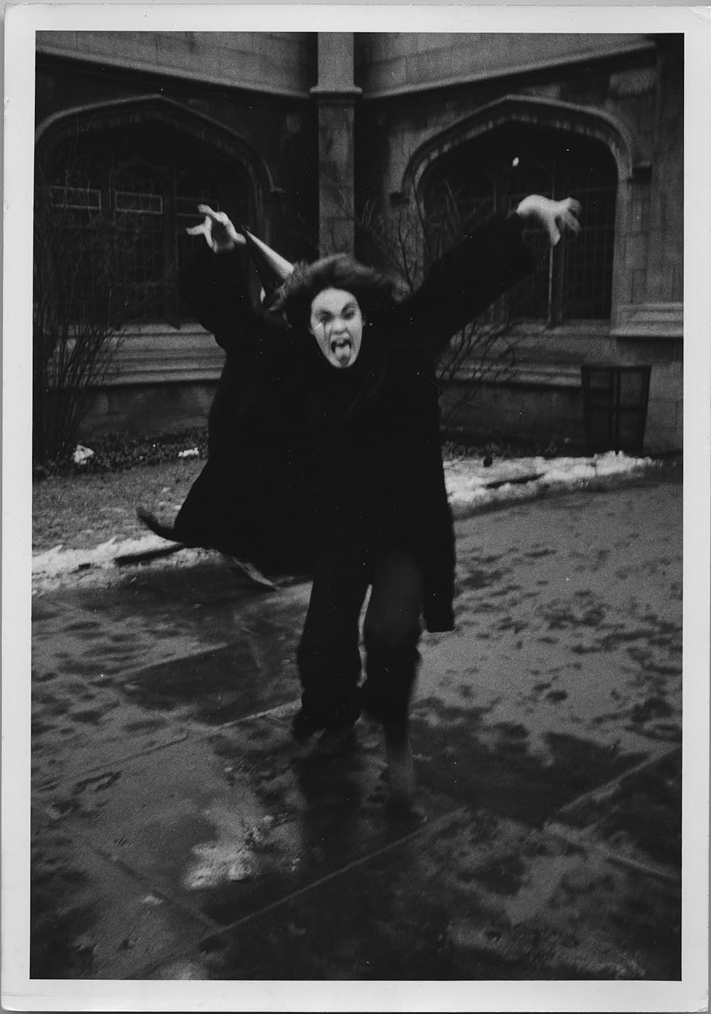 怒ればその美しさひときわ輝くの画像