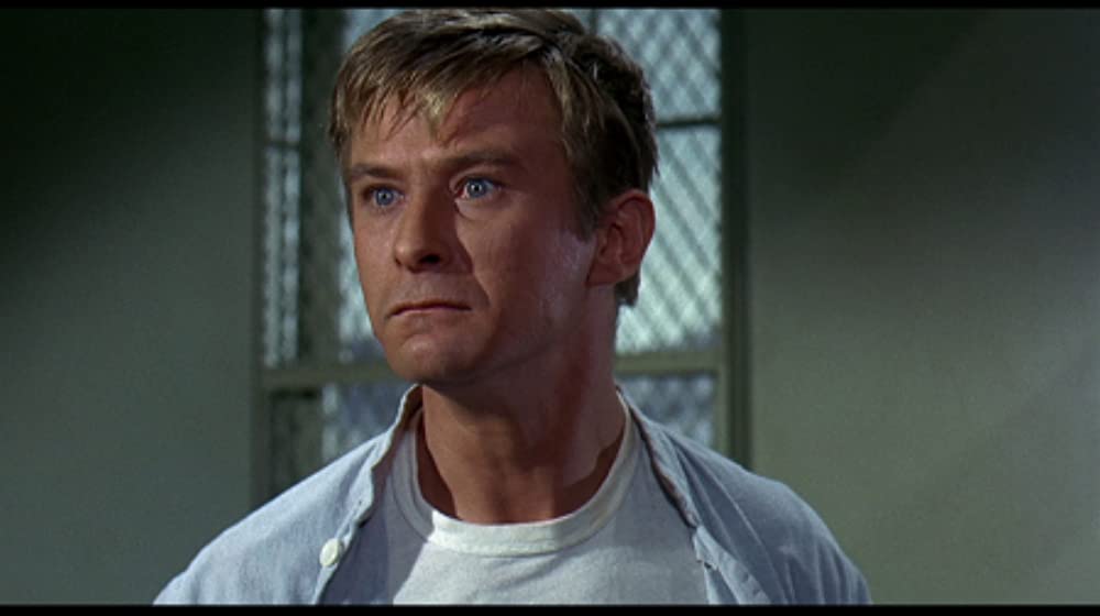 ニューマンという男の画像