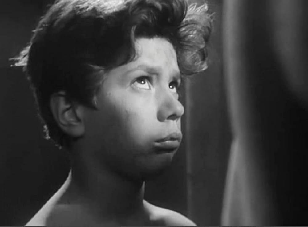 首輪のない犬の画像