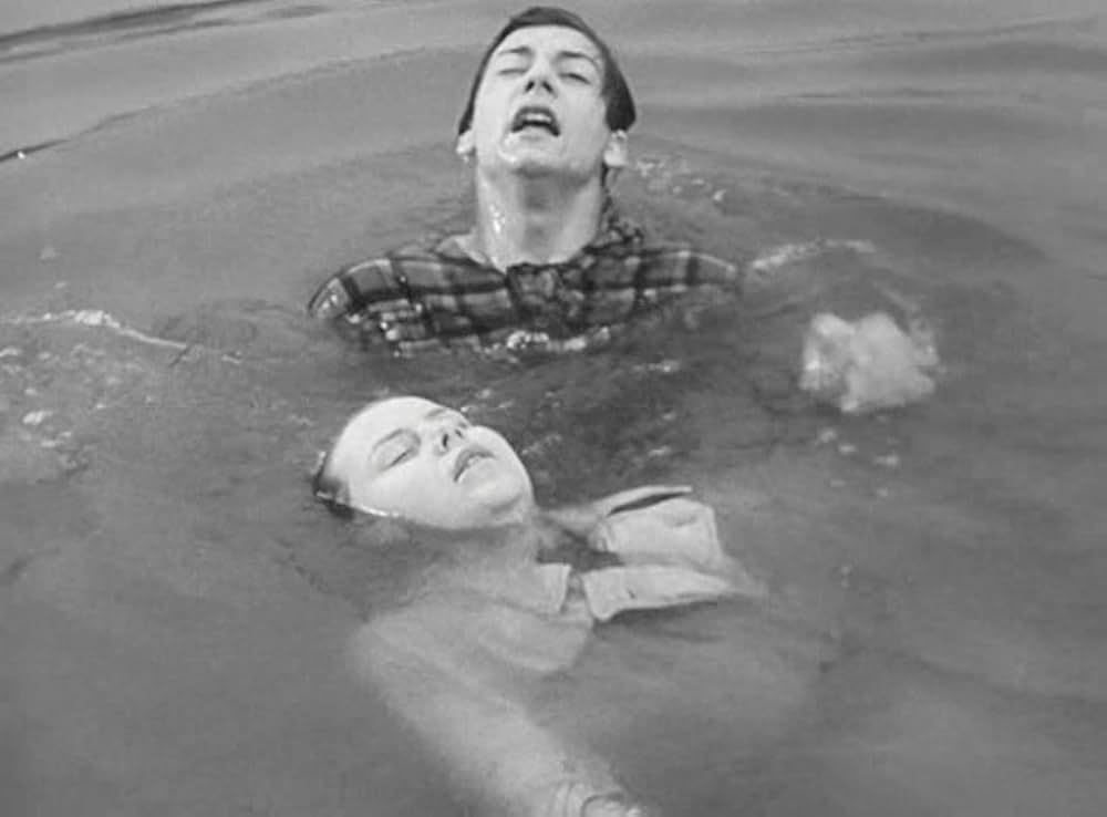 首輪のない犬の画像