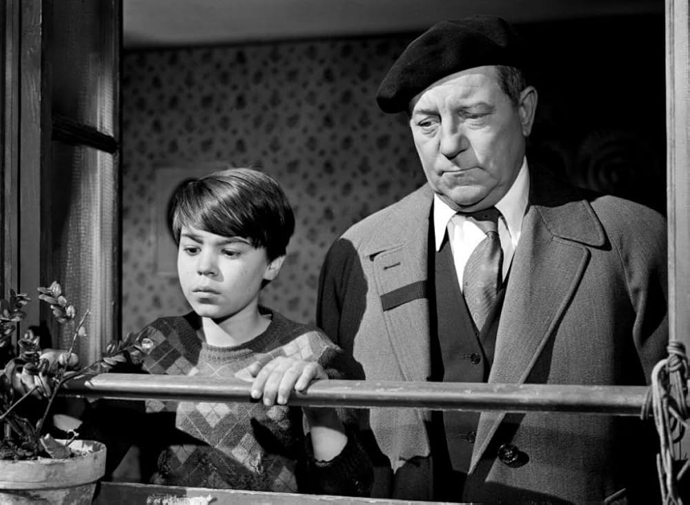 首輪のない犬の画像