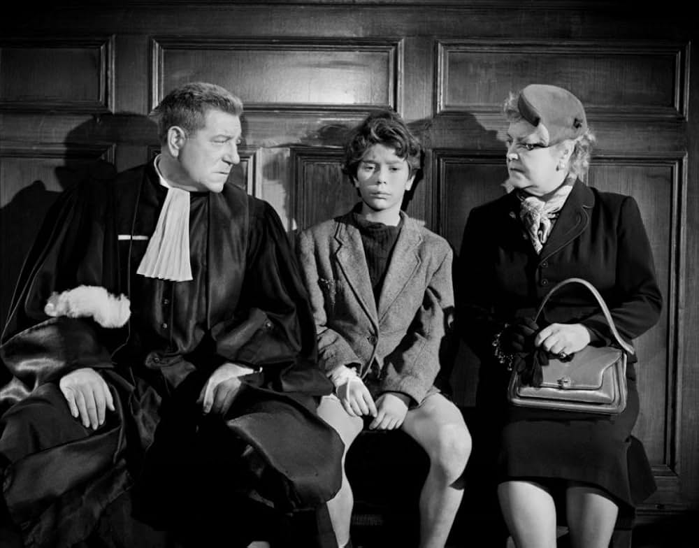 首輪のない犬の画像