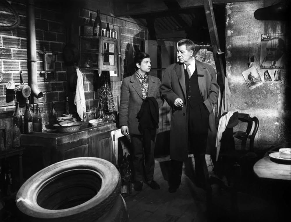 首輪のない犬の画像