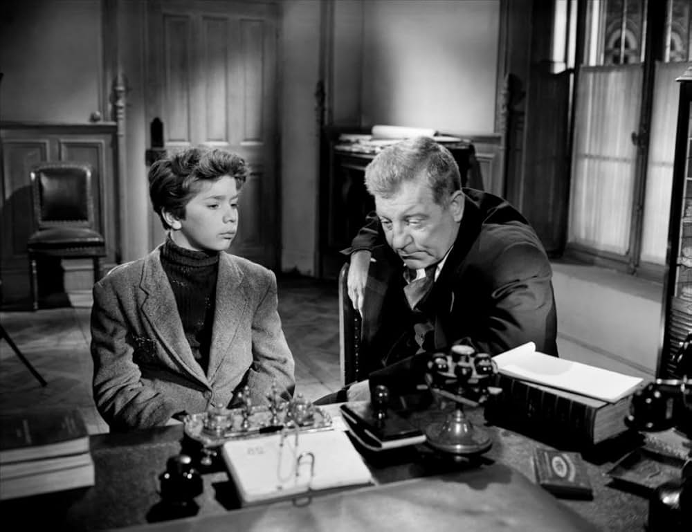 首輪のない犬の画像