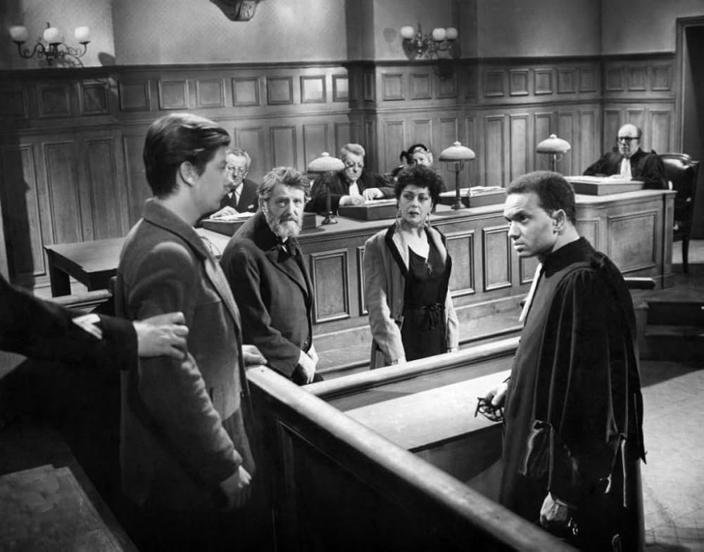 首輪のない犬の画像