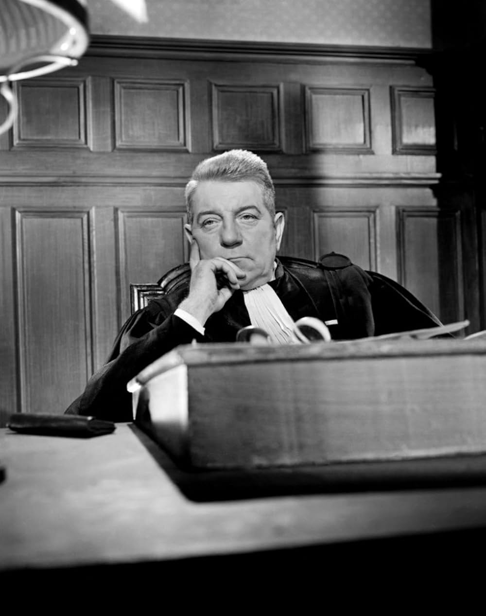 首輪のない犬の画像