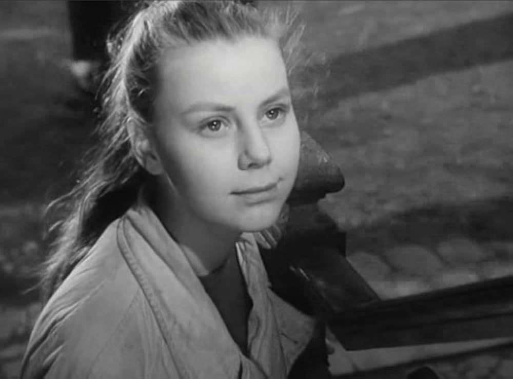 首輪のない犬の画像