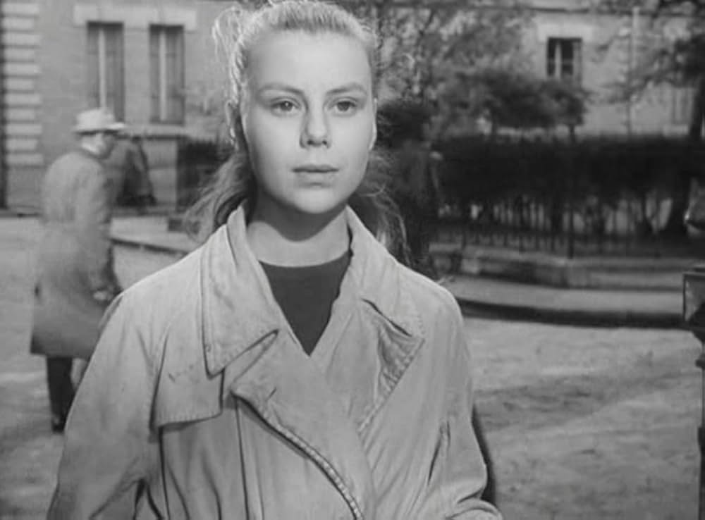 首輪のない犬の画像