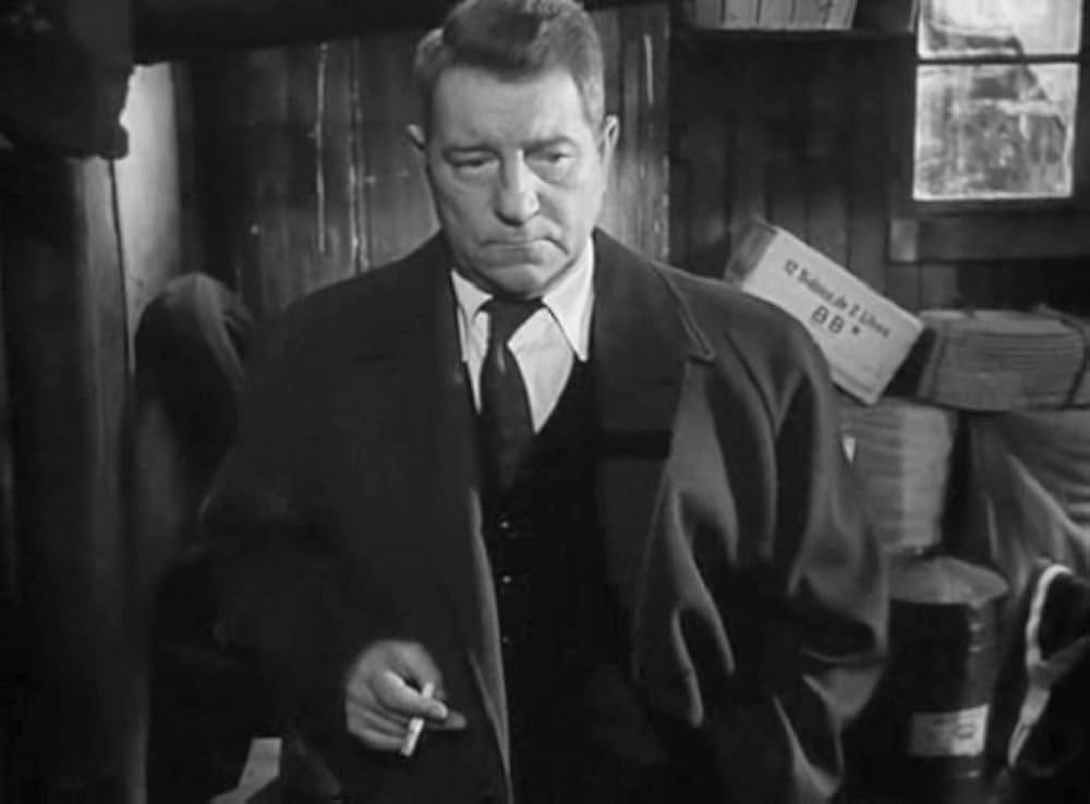 首輪のない犬の画像