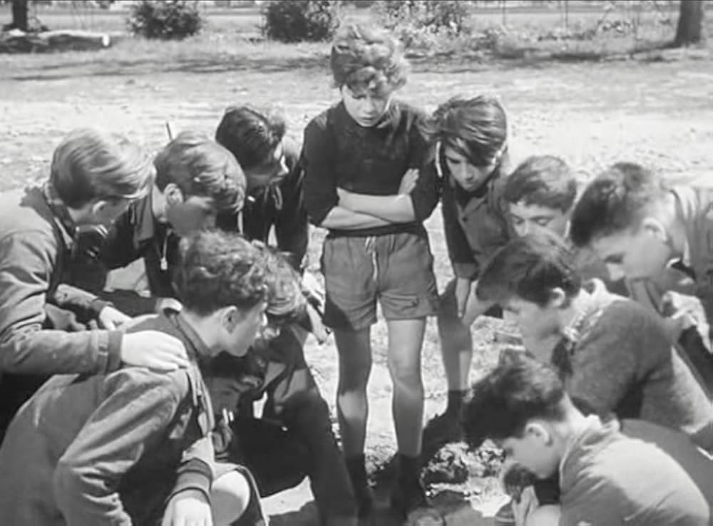 首輪のない犬の画像