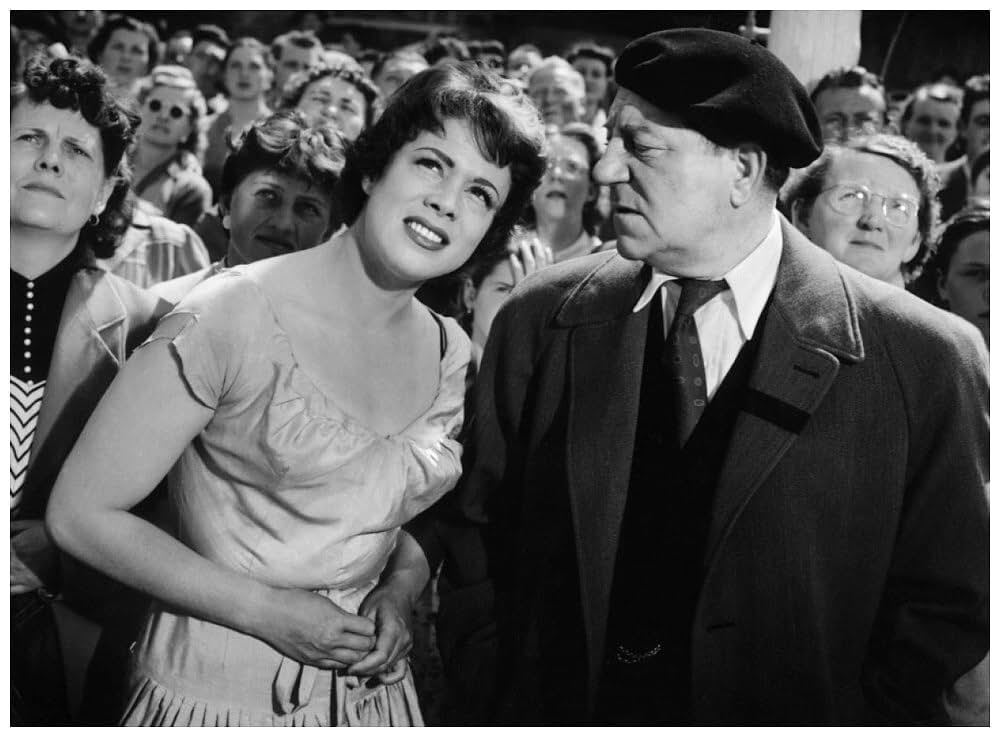 首輪のない犬の画像