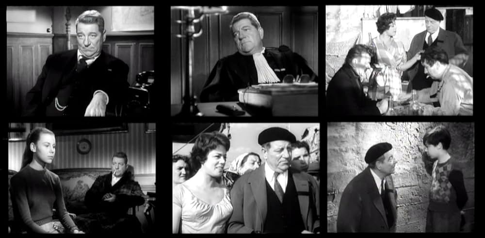 首輪のない犬の画像