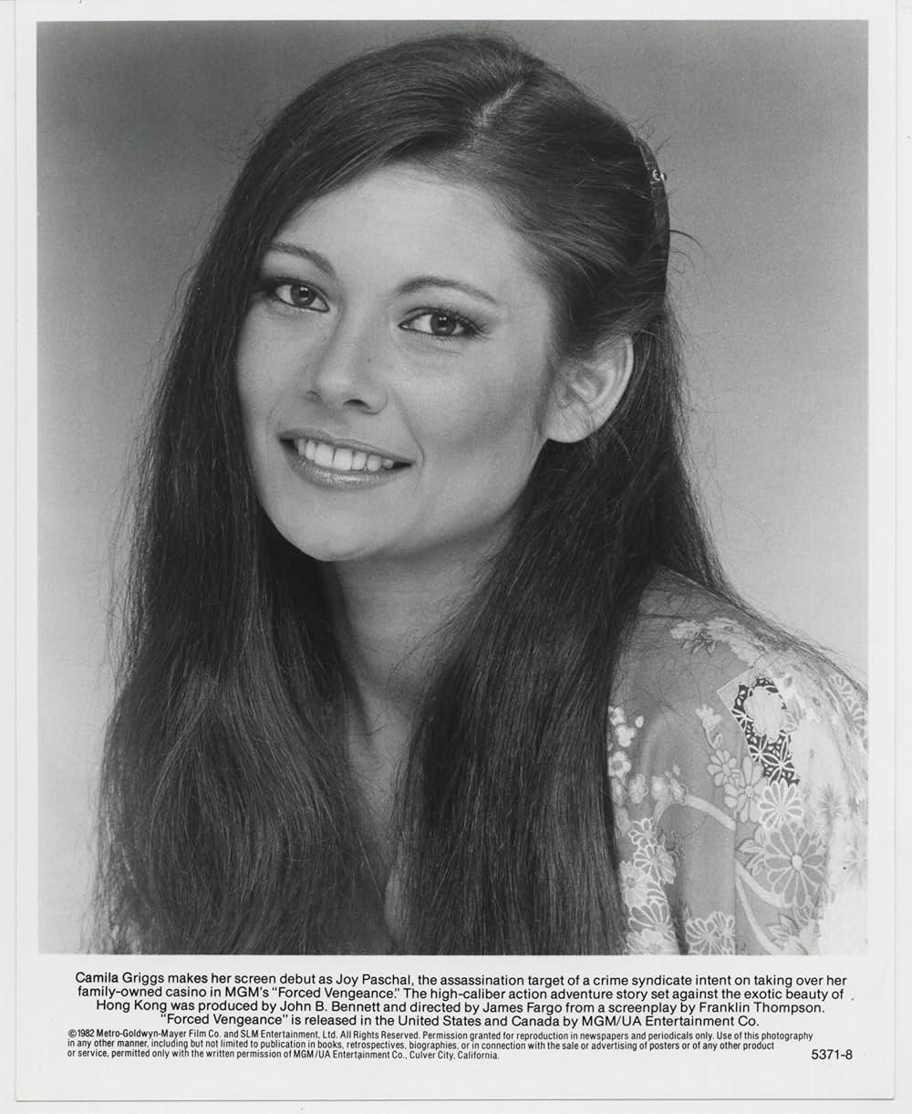 チャック・ノリスの 地獄の復讐の画像