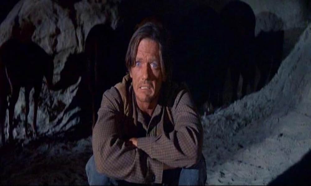 バンドレロの画像