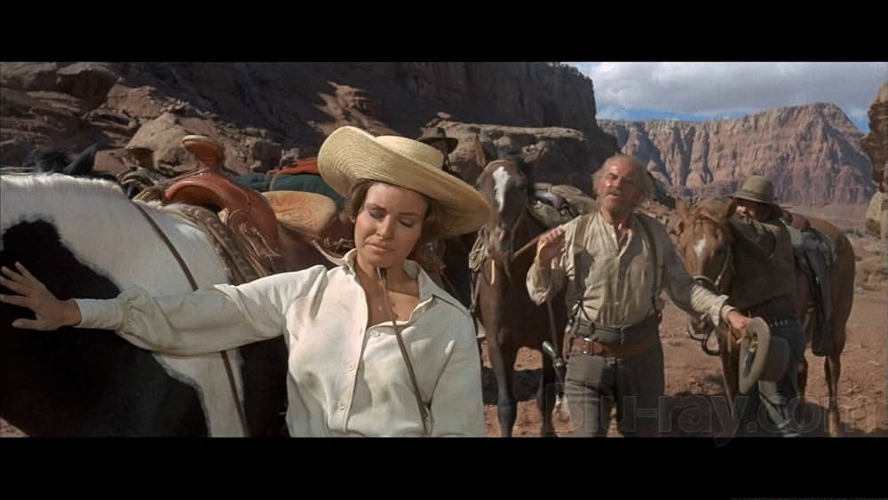 バンドレロの画像