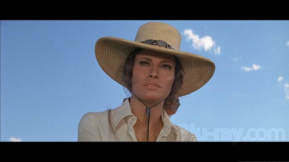 バンドレロの画像