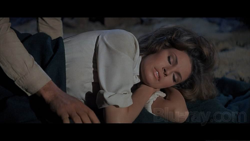 バンドレロの画像