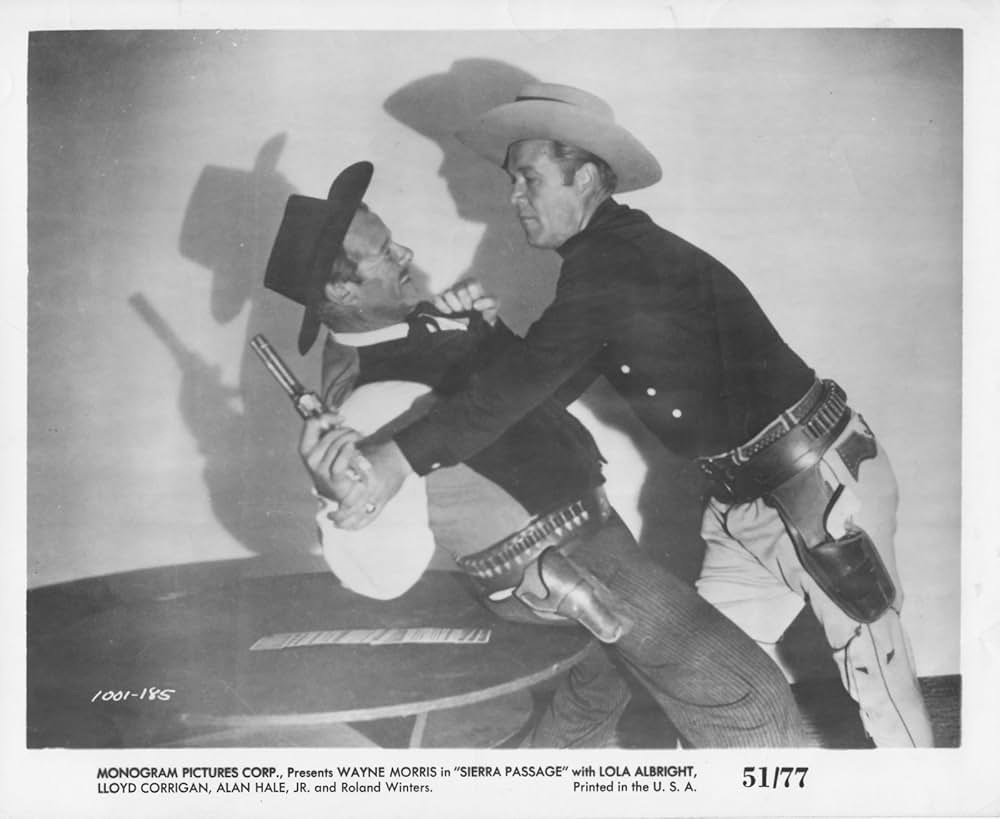 復讐の二挺拳銃の画像