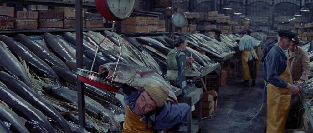 あなただけ今晩はの画像