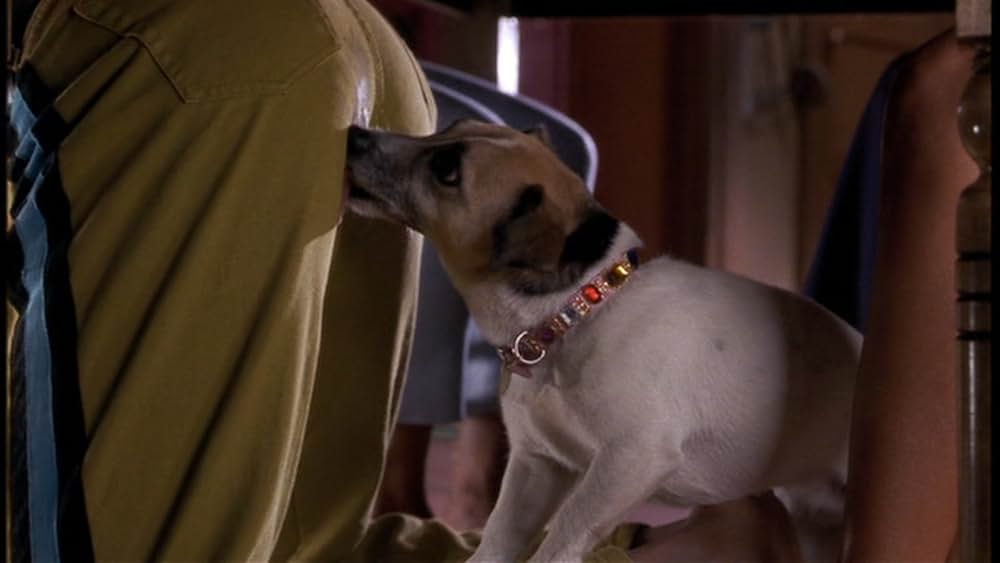 ダブル・デートの画像