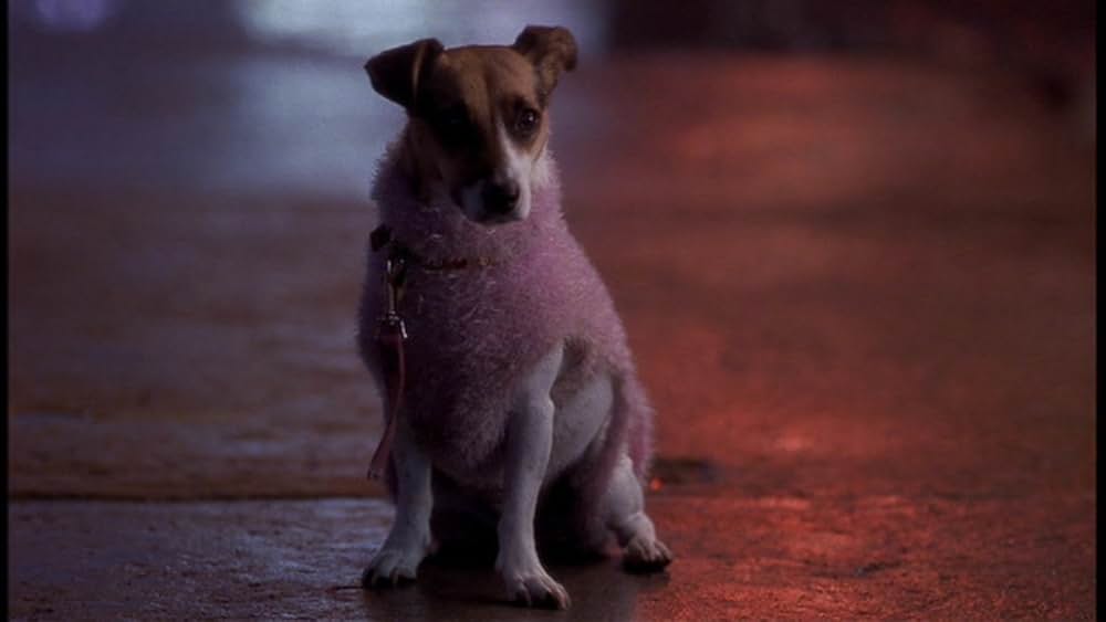 ダブル・デートの画像